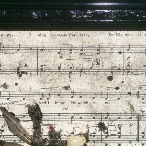 His Eye is on the Sparrow