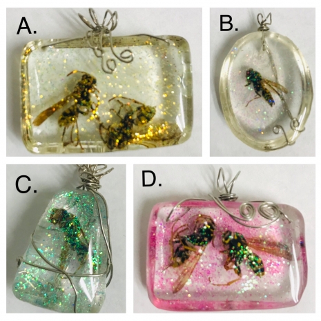 Wasp Jewels: Set One