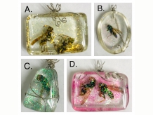 Wasp Jewels: Set One